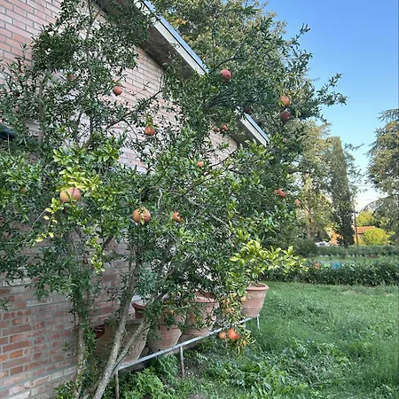 La Marana Dimora Storica Nord - F1 * Imola